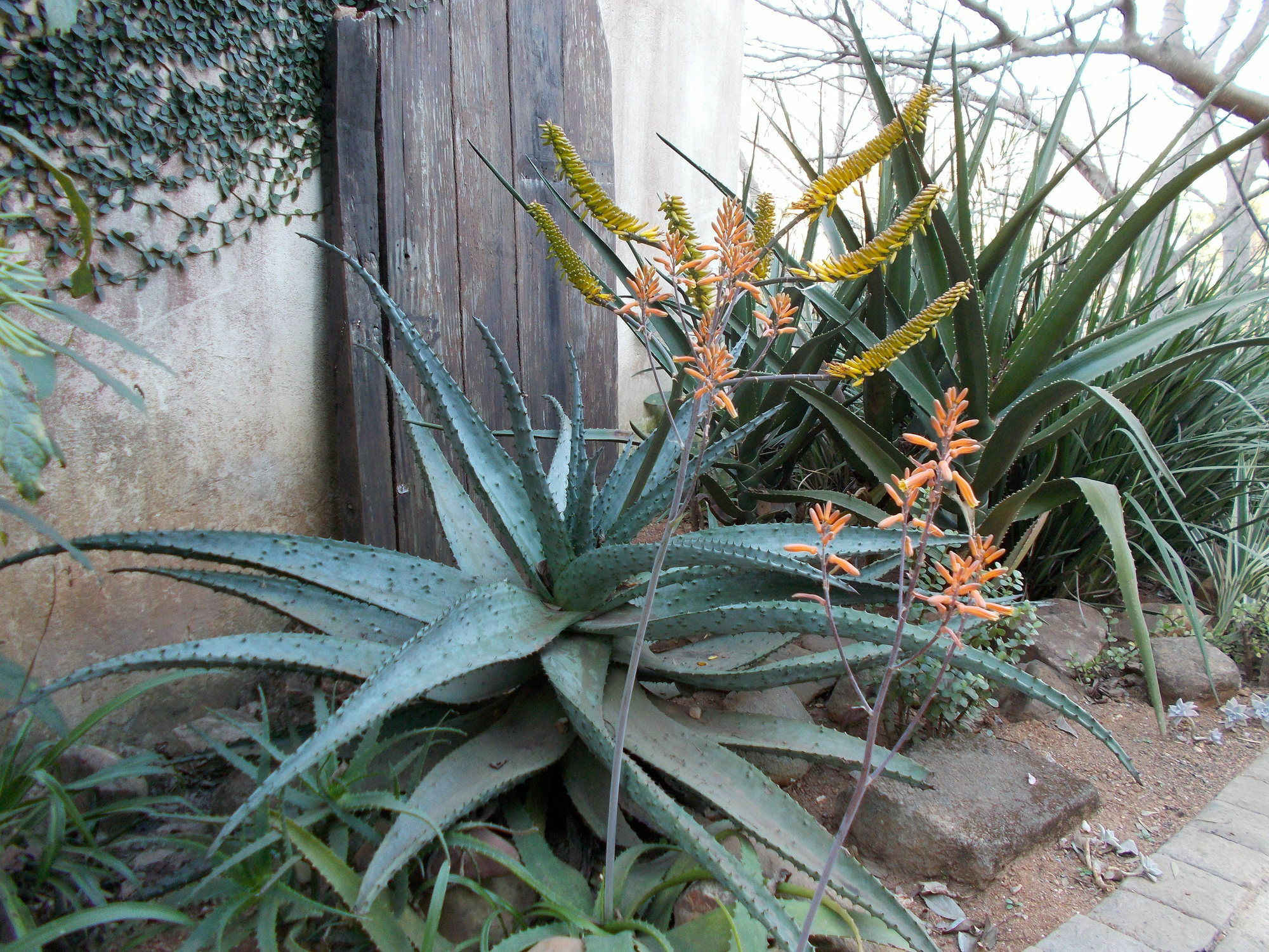 Sabie Self Catering Apartments ภายนอก รูปภาพ